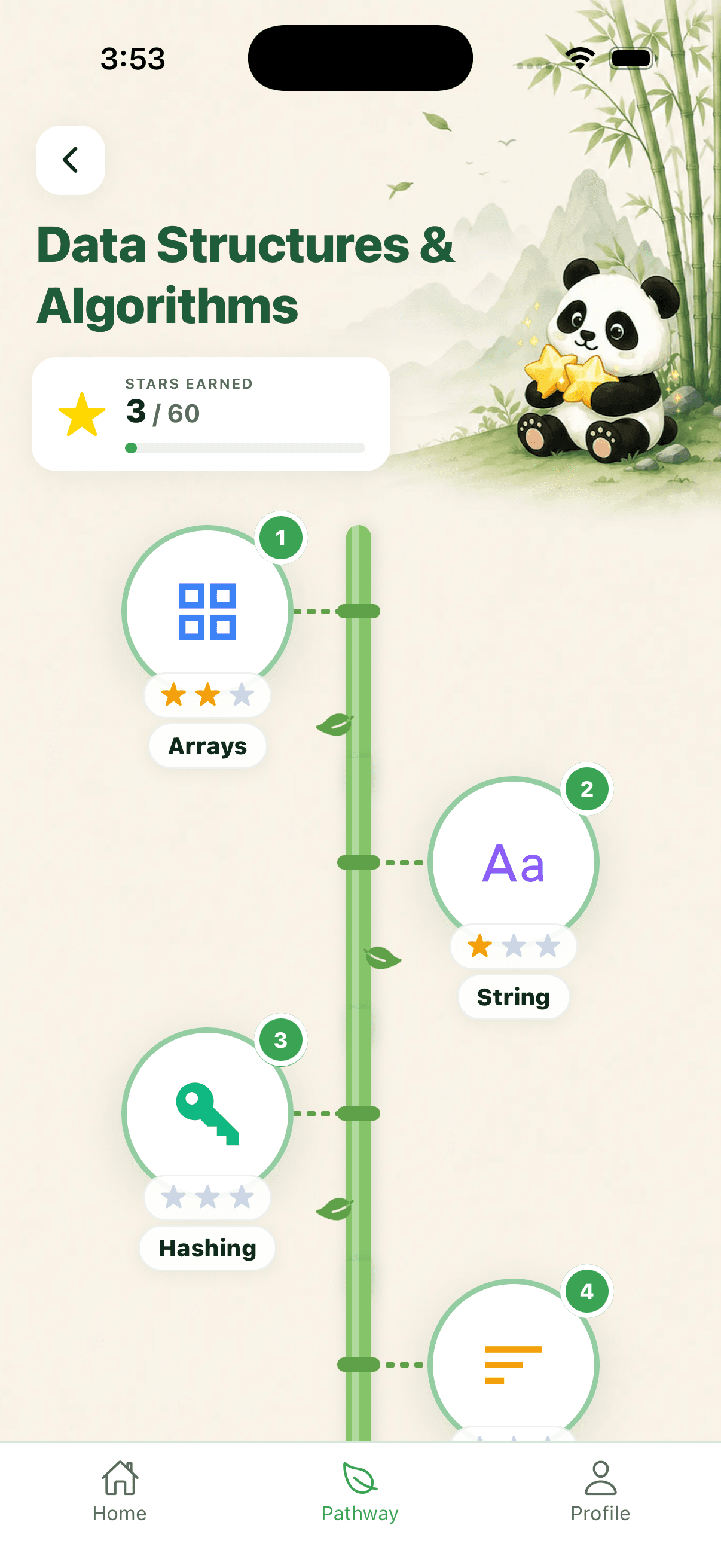 DSA pathway tree